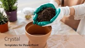  Presentation with home gardening - Theme with people-gardening-and-housework-concept background and a coral colored foreground