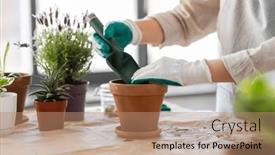  Presentation with home gardening - Slide deck enhanced with people-gardening-and-planting-concept background and a coral colored foreground