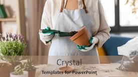  Presentation with home gardening - PPT layouts consisting of people-gardening-and-planting-concept background and a coral colored foreground