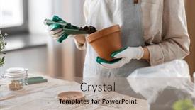  Presentation with home gardening - Presentation theme having people-gardening-and-planting-concept background and a mint green colored foreground