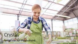  Presentation with seedling - Colorful presentation design enhanced with people gardening and profession concept - happy woman or gardener with sprayer and seedling in greenhouse backdrop and a mint green colored foreground