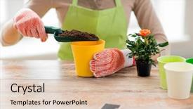  Presentation with home gardening - Slide set enhanced with room plants soil - people gardening flower planting background and a lemonade colored foreground