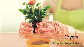  Presentation with home gardening - Audience pleasing slide deck consisting of room plants soil - people gardening flower planting backdrop and a coral colored foreground