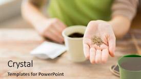  Presentation with gardening the seed - Slide set consisting of people gardening seeding and profession background and a lemonade colored foreground