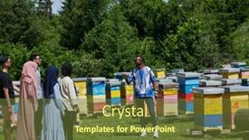  Presentation with honey - Presentation theme enhanced with people-group-visiting-local-honey background and a tawny brown colored foreground