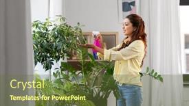  Presentation with housekeeping - Presentation consisting of people-housekeeping-and-plants-care background and a tawny brown colored foreground