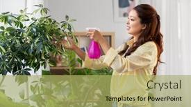  Presentation with home care - Presentation design featuring people-housekeeping-and-plants-care background and a yellow colored foreground