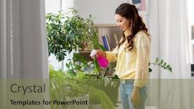  Presentation with home care - PPT theme enhanced with people-housekeeping-and-plants-care background and a tawny brown colored foreground