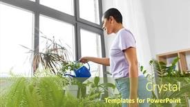  Presentation with housekeeping - Audience pleasing PPT layouts consisting of people-housekeeping-and-plants-care backdrop and a tawny brown colored foreground