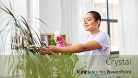  Presentation with home care - Slide deck featuring people-housekeeping-and-plants-care background and a gold colored foreground
