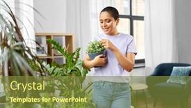  Presentation with housekeeping - Presentation theme featuring people-housekeeping-and-plants-care background and a tawny brown colored foreground