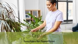  Presentation with housekeeping - Beautiful presentation theme featuring people-housekeeping-and-plants-care backdrop and a gold colored foreground