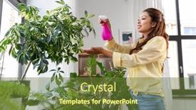  Presentation with home care - Slide deck consisting of people-housekeeping-and-plants-care background and a tawny brown colored foreground