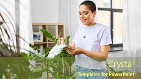  Presentation with tissue - Presentation theme consisting of people-housework-and-care-concept background and a tawny brown colored foreground