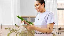  Presentation with tissue - PPT theme enhanced with people-housework-and-care-concept background and a coral colored foreground