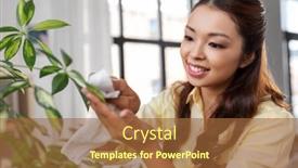  Presentation with tissue - PPT layouts featuring people-housework-and-care-concept background and a red colored foreground