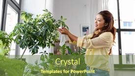  Presentation with tissue - Presentation design consisting of people-housework-and-care-concept background and a tawny brown colored foreground