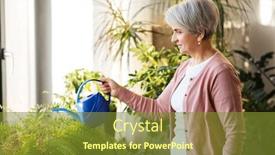  Presentation with home care - PPT layouts enhanced with people-housework-and-plants-care background and a tawny brown colored foreground