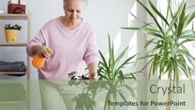  Presentation with home care - Presentation theme consisting of people-housework-and-plants-care background and a mint green colored foreground