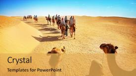  Presentation with sahara - PPT layouts having people in the sahara desert background and a yellow colored foreground