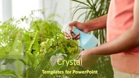  Presentation with home care - PPT theme enhanced with people-nature-and-plants-care background and a tawny brown colored foreground