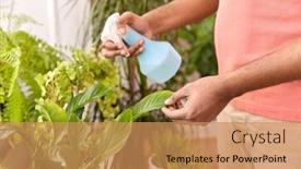  Presentation with home care - Presentation having people-nature-and-plants-care background and a coral colored foreground