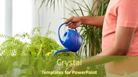  Presentation with home care - Amazing presentation theme having people-nature-and-plants-care backdrop and a tawny brown colored foreground