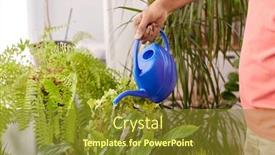  Presentation with home care - Colorful PPT theme enhanced with people-nature-and-plants-care backdrop and a tawny brown colored foreground