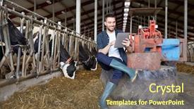  Presentation with agriculture technology - PPT theme featuring people technology and animal husbandry background and a tawny brown colored foreground
