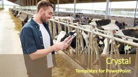  Presentation with agriculture technology - PPT layouts with people technology and animal husbandry background and a coral colored foreground