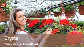  Presentation with nursery - Amazing theme having people working in nursery gardening background backdrop and a tawny brown colored foreground