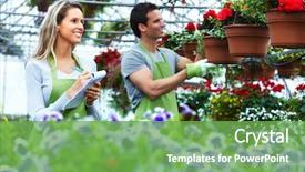  Presentation with nursery - Amazing slide set having people working in nursery gardening background backdrop and a seafoam green colored foreground