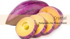  Presentation with melon - PPT layouts consisting of pepino melon background and a yellow colored foreground