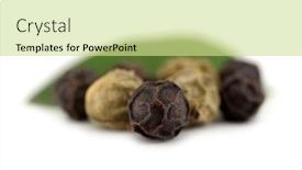  Presentation with pepper - Beautiful presentation theme featuring piper nigrum - pepper black and green peppercorns backdrop and a soft green colored foreground