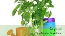  Presentation with garden tools - Slide set enhanced with pepper-seedlings-with-garden-tools background and a seafoam green colored foreground