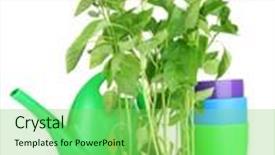  Presentation with garden tools - PPT layouts having pepper seedlings with garden tools isolated on white background and a seafoam green colored foreground