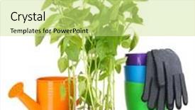  Presentation with garden tools - Cool new presentation theme with pepper seedlings with garden tools isolated on white backdrop and a yellow colored foreground