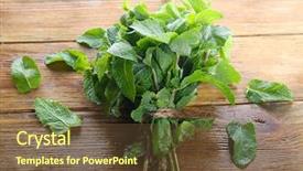  Presentation with mint - Colorful slide deck enhanced with peppermint - bunch of fresh mint backdrop and a  colored foreground