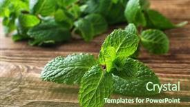  Presentation with lemon - Presentation theme having peppermint - fresh lemon balm on table background and a tawny brown colored foreground