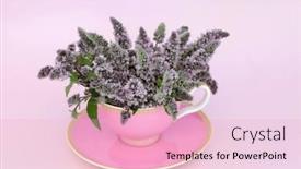  Presentation with peppermint - PPT theme enhanced with peppermint-flower-leaf-tea background and a lemonade colored foreground