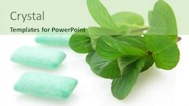  Presentation with peppermint - Slides consisting of peppermint with chewing gum background and a mint green colored foreground