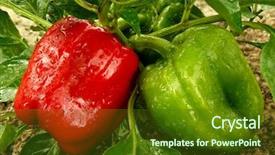  Presentation with dark green and red - PPT layouts enhanced with designer drawing with pencil construction background and a white colored foreground