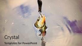  Presentation with retro - Audience pleasing slide set consisting of perch on the hook retro style picture of fish catch warm filtered photography backdrop and a mint green colored foreground