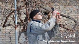  Presentation with early childhood brain development - Slides enhanced with percision agriculture - gardener pruning the branches background and a  colored foreground