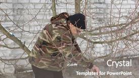  Presentation with agriculture - Theme enhanced with percision agriculture - gardener pruning the branches background and a  colored foreground