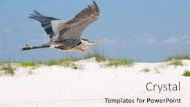  Presentation with oil spill - Amazing slides having perdido-key-may-4-tourism backdrop and a sky blue colored foreground