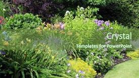  Presentation with flower - Presentation design with perennial flower bed in summer background and a tawny brown colored foreground