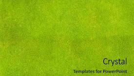  Presentation with perfect - Presentation design enhanced with perfect green grass texture background and a gold colored foreground