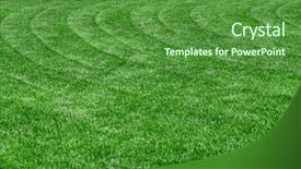  Presentation with green lawn - Slide deck consisting of perfect green lawn with wavy background and a tawny brown colored foreground