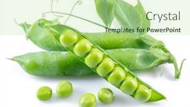  Presentation with peas - Presentation theme with perfect-green-peas-in-pod background and a mint green colored foreground